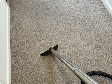 Carpet Cleaning